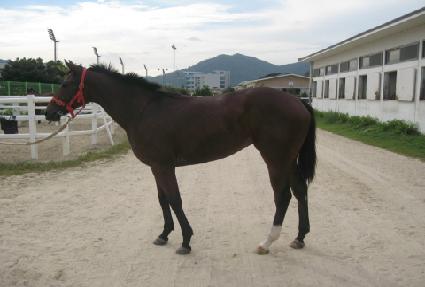 �ʽ� ����