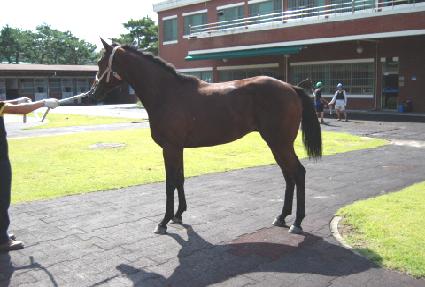 ��õ��ȣ ����