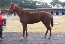 ���ī (HERUKA) ����