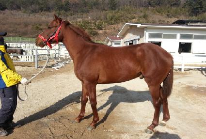 ��ȸ���� ����