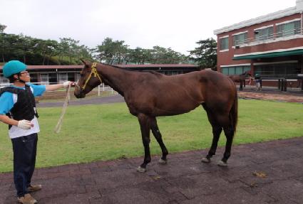 ������Ĺ ����