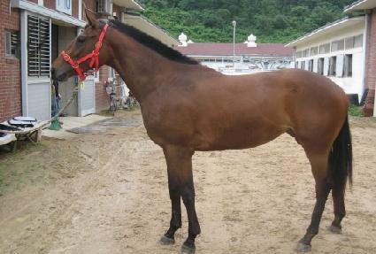 ������� ����