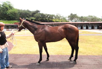 �������� ����