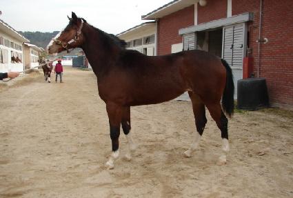 ũ�ν����� ����