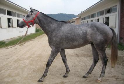 �������ƽǵ� ����