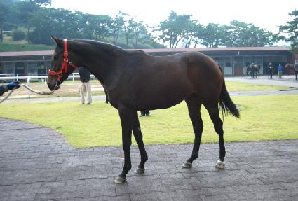 �ƽ��� ����