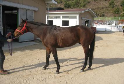 �������̷� ����