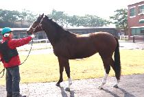 ������ġ (J TOUCH) ����