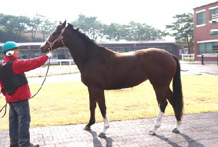 ������ġ ����