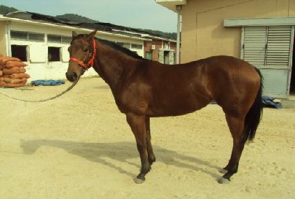 ������� ����