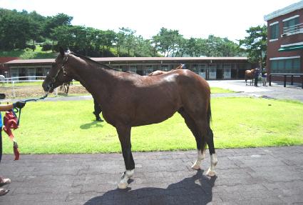 �������� ����