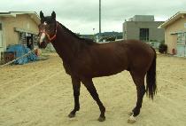 ���ֿ��� (YEONJU YEONSEUNG) ����