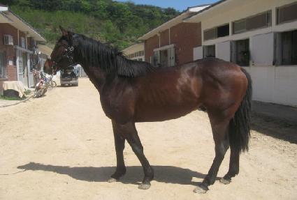 �����̾��� ����