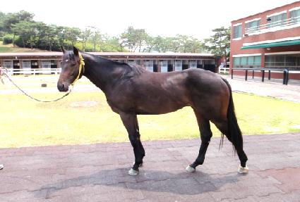 ����Ÿ�̰� ����