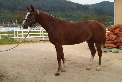 ����Ʈ���� ����