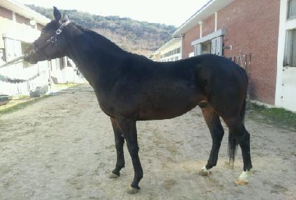 �������� ����