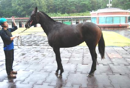 �����׸��� ����