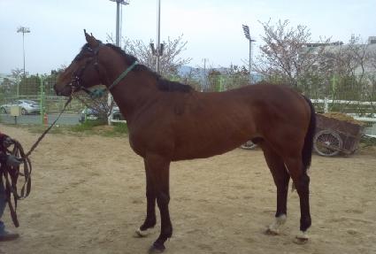 õ��ô� ����