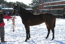 �����¸��� (SEOLLENEUN MAEUM) ����