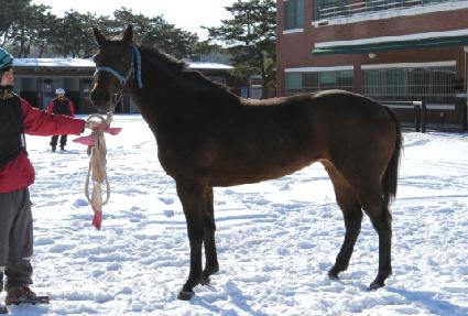 �����¸��� ����