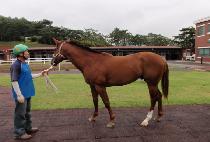 �׹����� (NEVER LOSE) ����