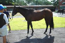 ����밨 (SEOUL DAEGAM) ����