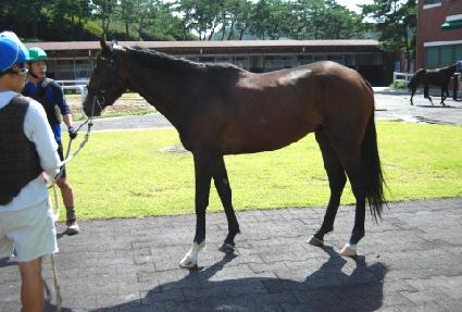 ����밨 ����