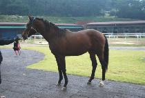 �������ο� (GANGJAUI INYEON) ����