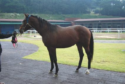 �������ο� ����