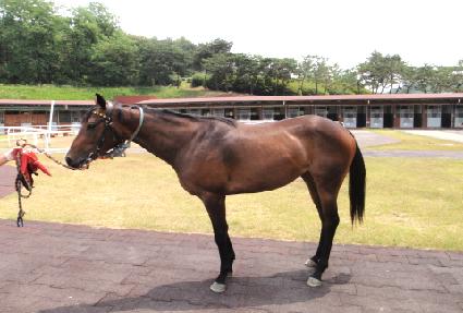 ��Ƽ���̳� ����