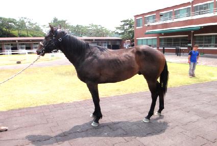 ȭ�갭�� ����