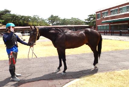 ������ ����