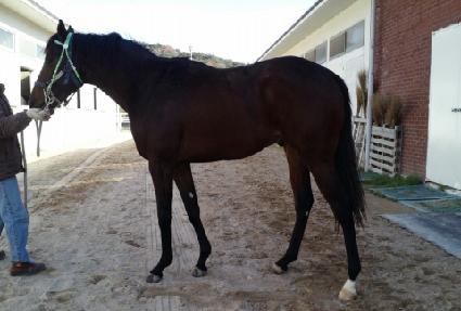 �������� ����