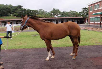 ��̵�� ����