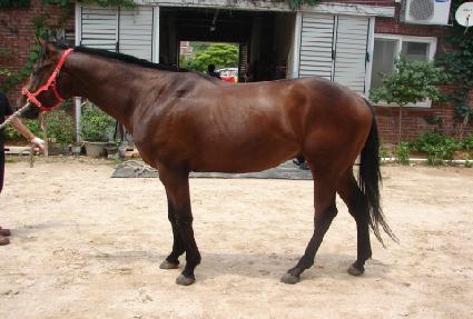 �ְ��ô� ����