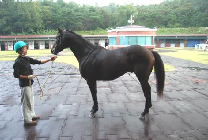 �ܻ� ����