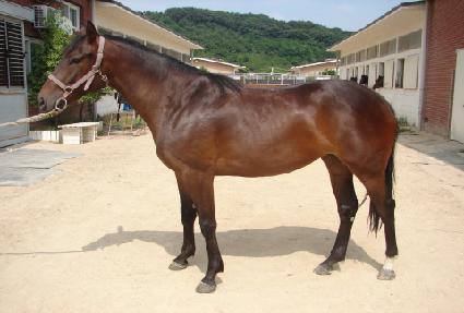 ����Ʈ�� ����