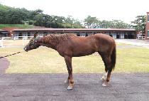 ������Ƽ (DOUBLE PARTY) ����