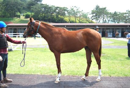 Ű��Ʈ���� ����