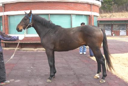 ��ǳ���� ����