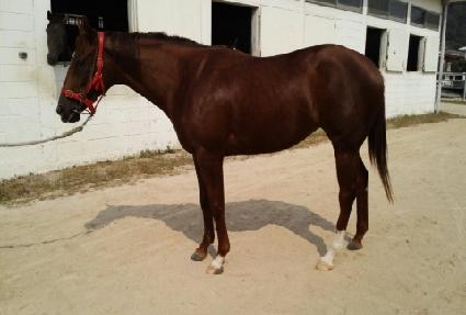 ���νô� ����