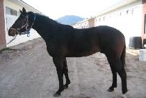 �����ǽ��� (JEONSEOLUI SIMJANG) ����