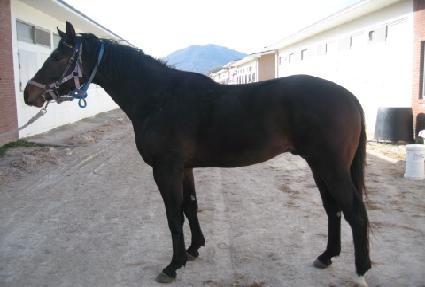 �����ǽ��� ����