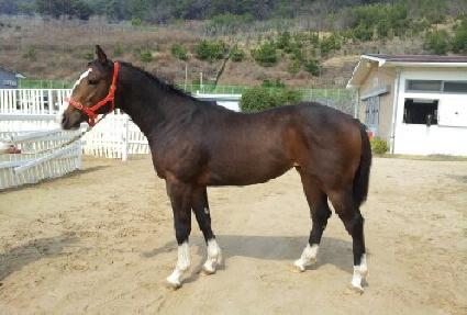 �ֽŹ��� ����