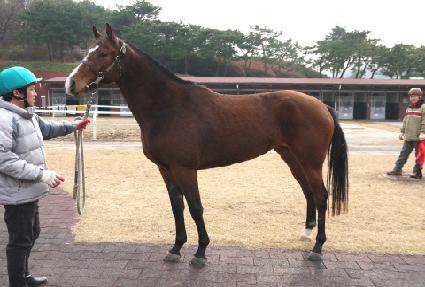 �ʿ����� ����