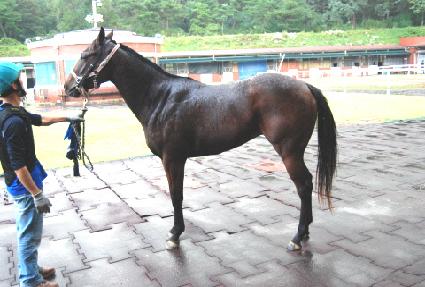 �ʿ��� ����