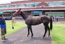 ���ʿ� (DAECHOWON) ����