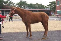 �߹���� (JUNGMUN SARANG) ����