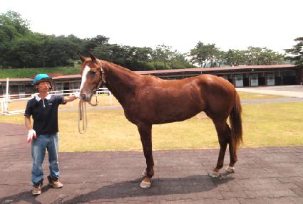 ������ ����