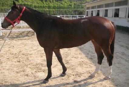 õ������ ����